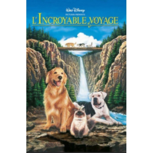 l'incroyable voyage dvd 