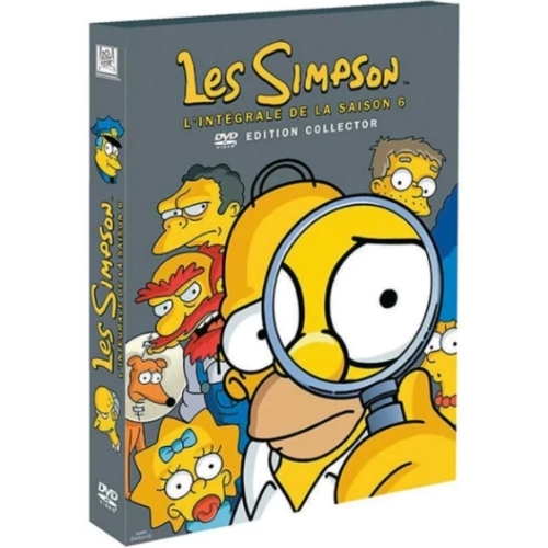 Les Simpson-L'intégrale de la Saison 6 DVD