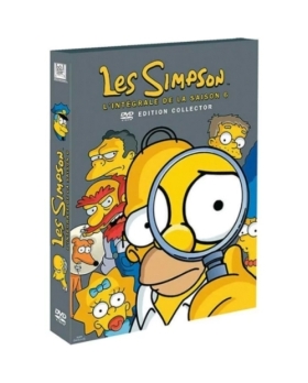 Les Simpson-L'intégrale de la Saison 6 DVD