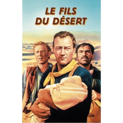 Le Fils du désert DVD