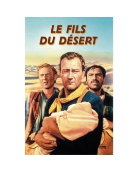 Le Fils du désert DVD