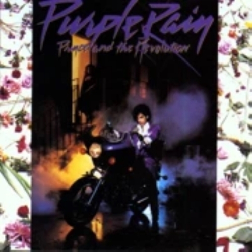 Prince PURPLE PAIN CD 