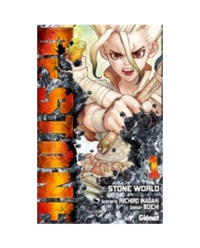 Dr. Stone - Tome 01