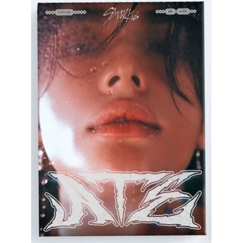 STRAY KIDS ATE CD