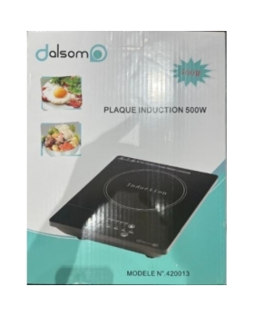 PLAQUE CHAUFFANTE INDUCTION DALSOM 420013 500W NOIR 