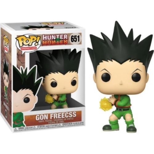 HUNTER X HUNTER GON FREECSS POP 651