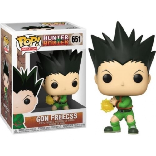 HUNTER X HUNTER GON FREECSS POP 651
