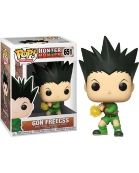 HUNTER X HUNTER GON FREECSS POP 651