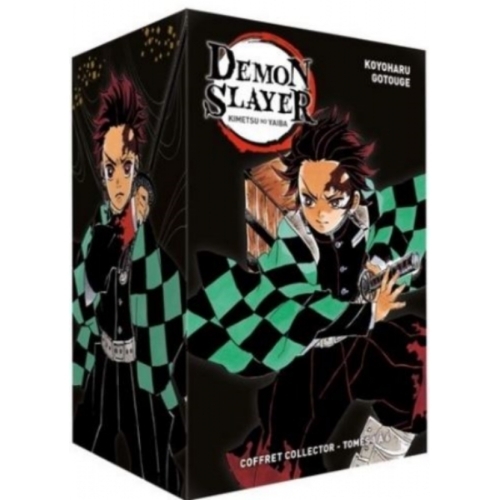 Coffret Demon Slayer T01 à T06 