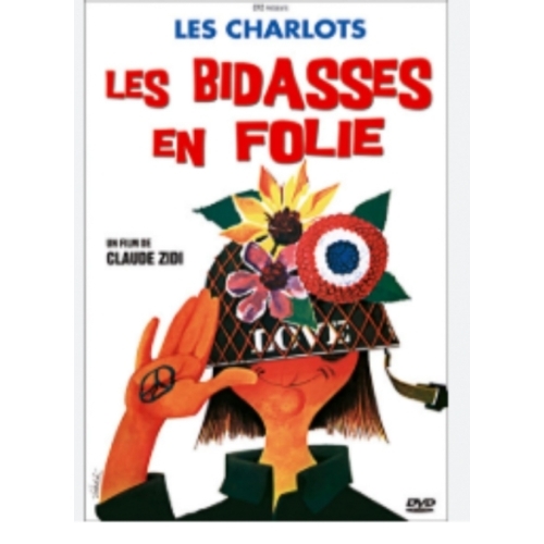 LES BIDASSES EN FOLIE DVD