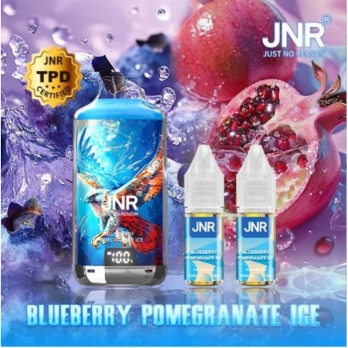 Falcon-X 28000 Puffs 20mg - JNR - Arôme : Blueberry Pomegranate Ice +2 flacons de 10 ml