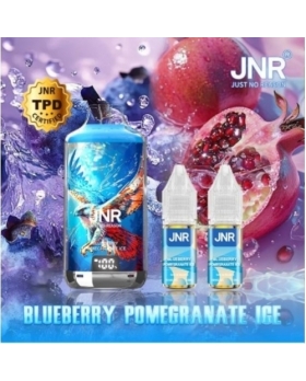 Falcon-X 28000 Puffs 20mg - JNR - Arôme : Blueberry Pomegranate Ice +2 flacons de 10 ml 