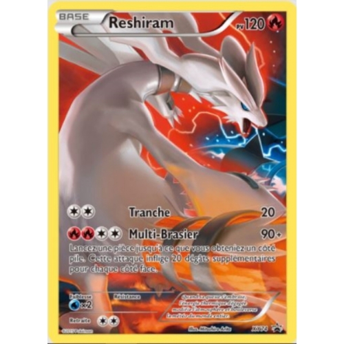 RESHIRAM PV120 XY74