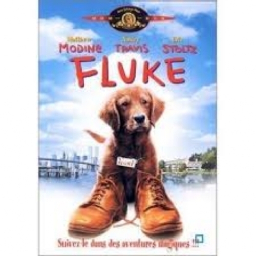 FLUKE DVD