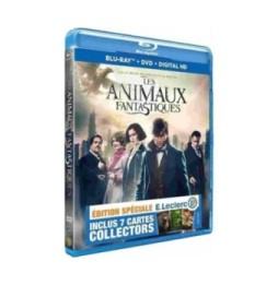 Les Animaux Fantastiques blu-ray 