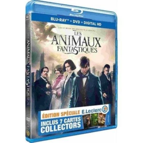 Les Animaux Fantastiques blu-ray 