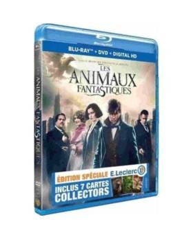 Les Animaux Fantastiques blu-ray 