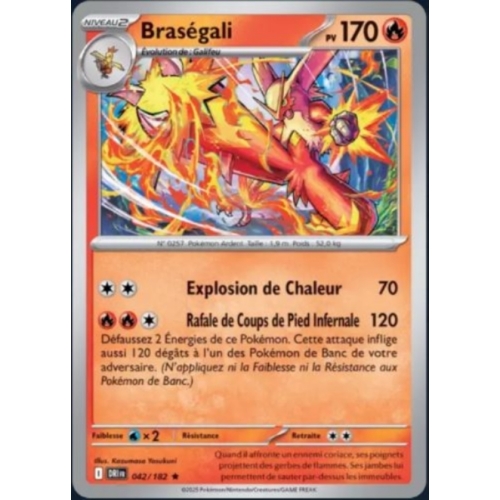 BRASEGALI REVERSE 170PV 042/182