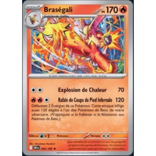BRASEGALI REVERSE 170PV 042/182