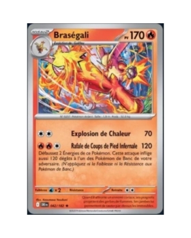BRASEGALI REVERSE 170PV 042/182