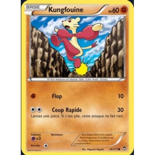 KUNGFOUINE 60PV 56/111 HOLO 
