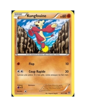KUNGFOUINE 60PV 56/111 HOLO 