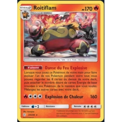 ROITIFLAM 170PV 33/236