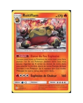 ROITIFLAM 170PV 33/236