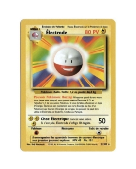 ELECTRODE PV80 21/102