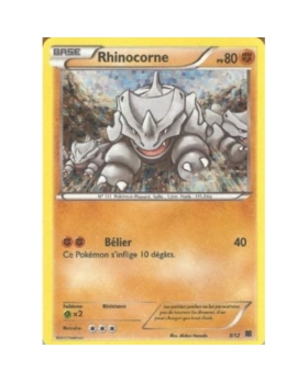RHINOCORNE HOLO 80PV 8/12