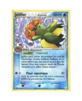 JOLIFLOR PV100 19/110