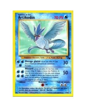 ARTIKODIN PV70 17/62