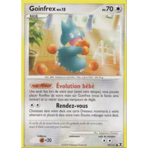 GOINFREX niv.70 70/111