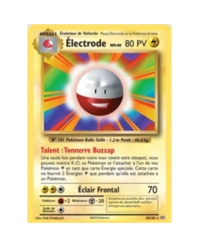 ELECTRODE niv.40 PV80 40/108