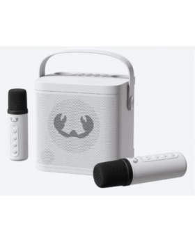 Kit de karaoké Fresh ’n Rebel Avec 2 micros Autonomie:10H 20w