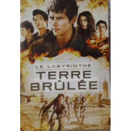 Le Labyrinthe : La Terre Brûlée DVD 