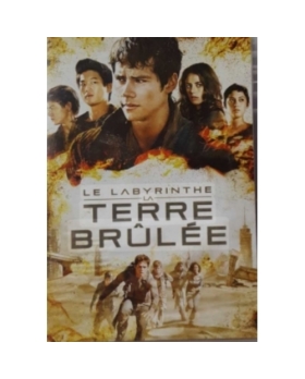 Le Labyrinthe : La Terre Brûlée DVD 