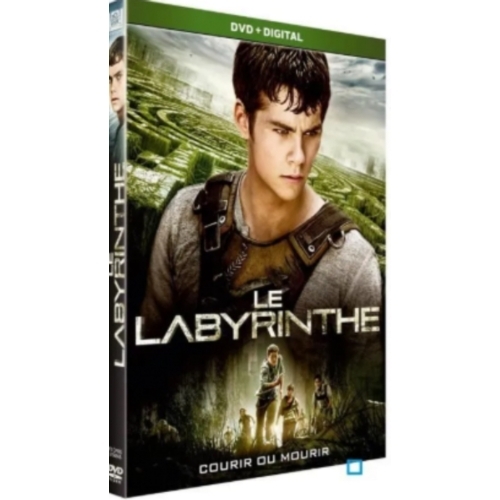 Le Labyrinthe dvd 