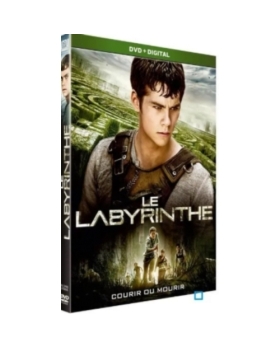 Le Labyrinthe dvd 