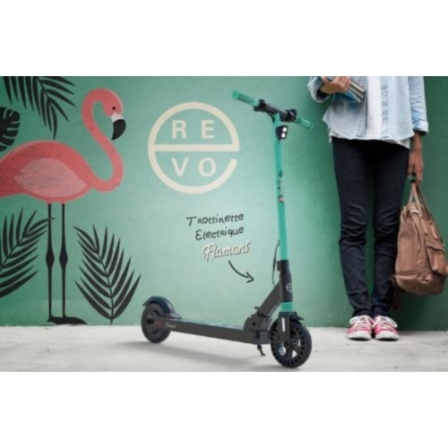 TROTINETTE REVO EDITION FLAMANT 300W AUTONOMIE:20KM VITESSE:25KM/H