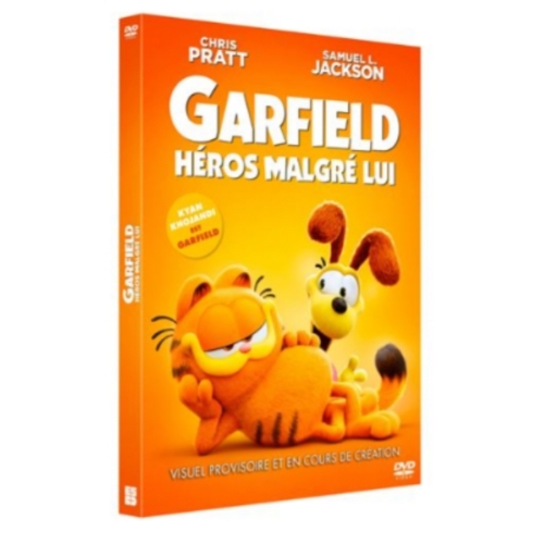 Garfield : Héros malgré lui DVD 