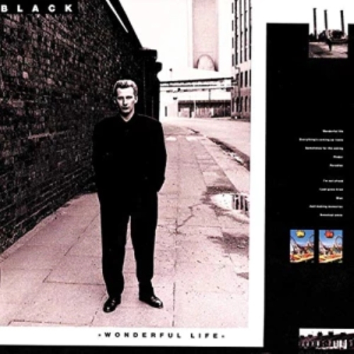 Black Wonderful Life cd 