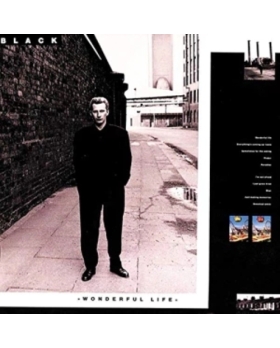 Black Wonderful Life cd 