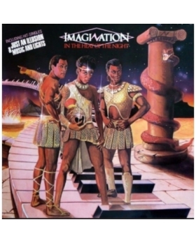 Imagination In The Heat Of The Night VYNILE
