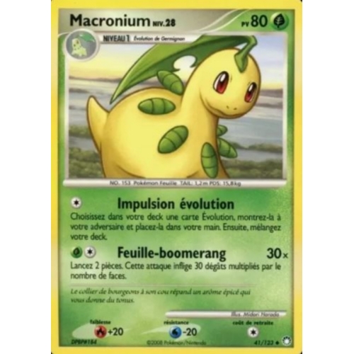 MACRONIUM niv.28 PV80 41/123