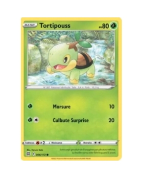 TORTIPOUSS 80PV 006/172