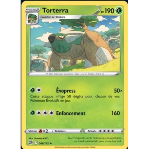 TORTERRA 190PV 008/172