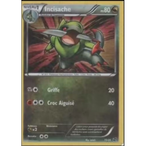 INCISACHE 80PV 15/20