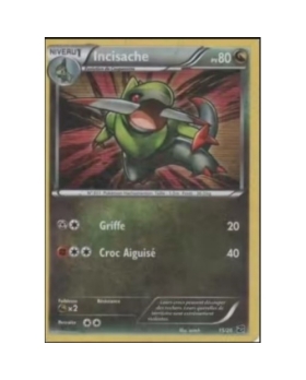 INCISACHE 80PV 15/20