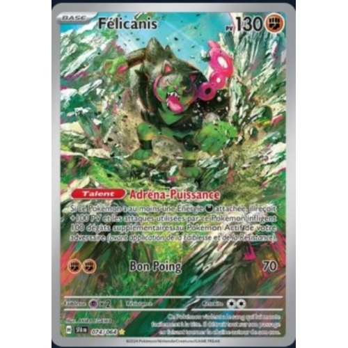 FELICANIS 130PV 074/064